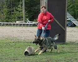 Leiri 2007