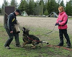 Leiri 2007