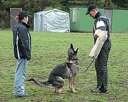 Leiri 2007