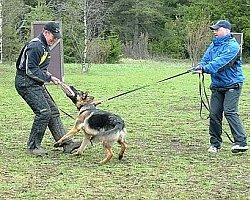 Leiri 2007
