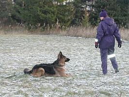Nina ja Leevi