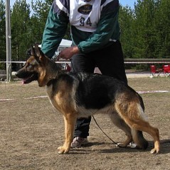 Jadovar Opri