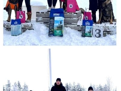 229e2421-faa8-4f1f-a649-b841f32ed9ff