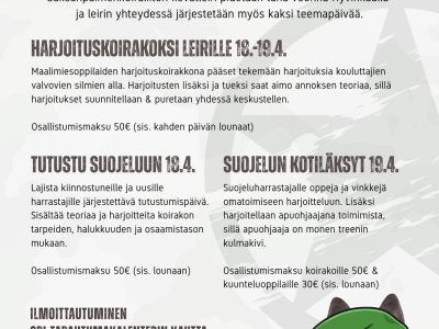 kevatleirimainos_ver8