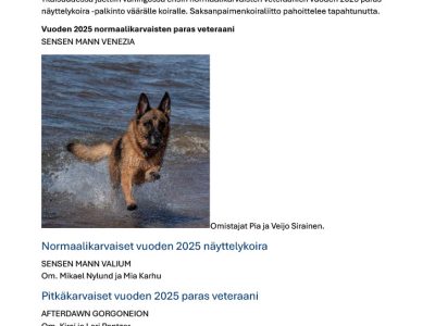 vuoden 2025 näyttelykoirat